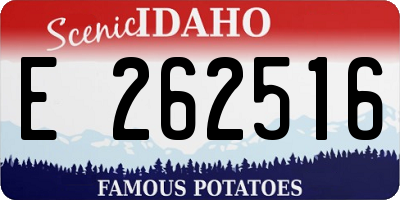 ID license plate E262516