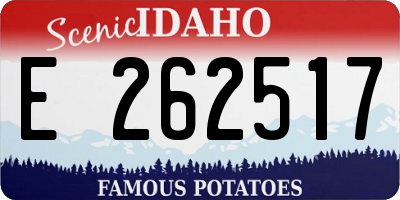 ID license plate E262517