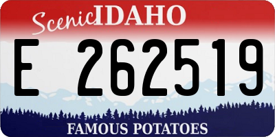 ID license plate E262519