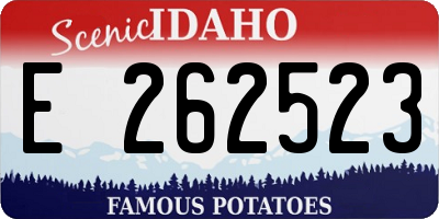ID license plate E262523