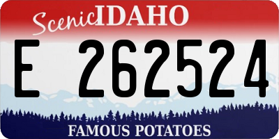 ID license plate E262524
