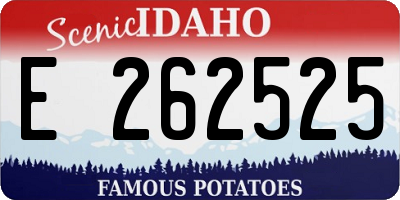 ID license plate E262525