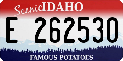 ID license plate E262530