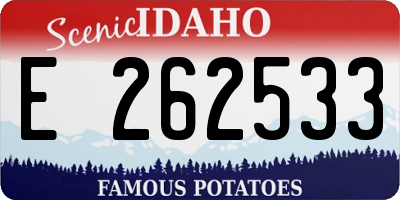 ID license plate E262533