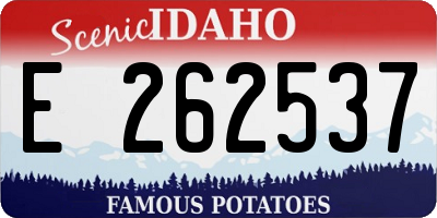 ID license plate E262537