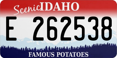 ID license plate E262538