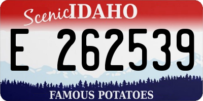 ID license plate E262539