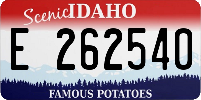 ID license plate E262540