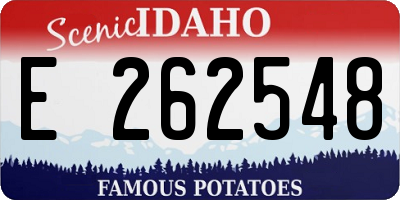 ID license plate E262548