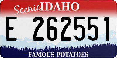 ID license plate E262551