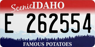 ID license plate E262554