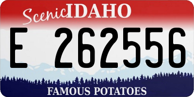 ID license plate E262556