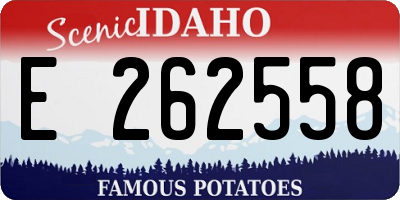 ID license plate E262558