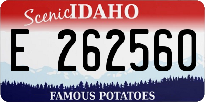 ID license plate E262560