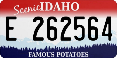 ID license plate E262564