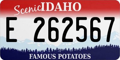 ID license plate E262567