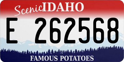 ID license plate E262568