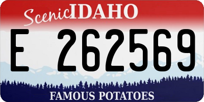 ID license plate E262569