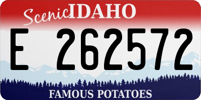 ID license plate E262572
