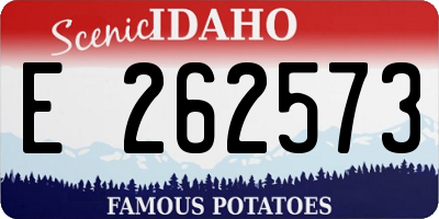 ID license plate E262573