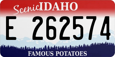 ID license plate E262574