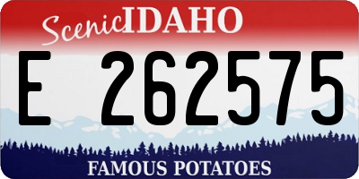 ID license plate E262575