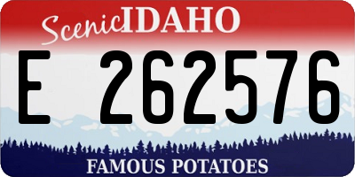 ID license plate E262576