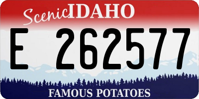 ID license plate E262577