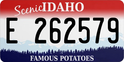 ID license plate E262579