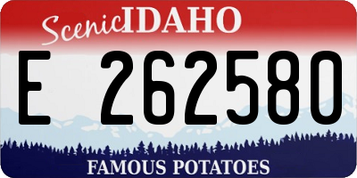 ID license plate E262580