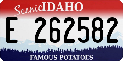 ID license plate E262582
