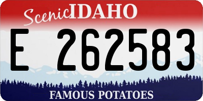 ID license plate E262583
