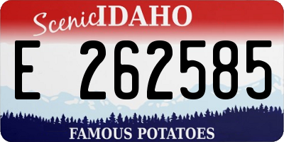 ID license plate E262585