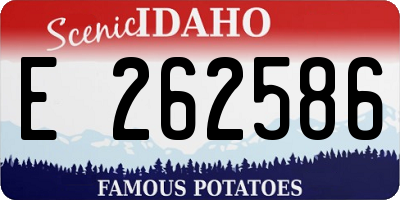 ID license plate E262586