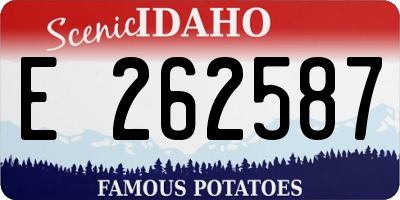 ID license plate E262587