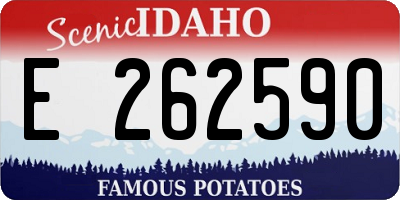 ID license plate E262590