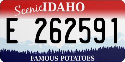 ID license plate E262591