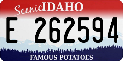 ID license plate E262594