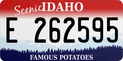ID license plate E262595