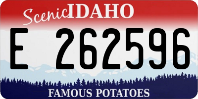ID license plate E262596