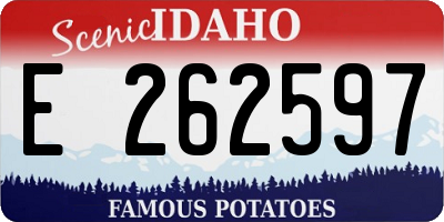 ID license plate E262597