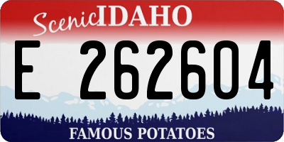 ID license plate E262604