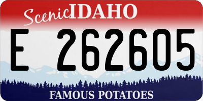 ID license plate E262605