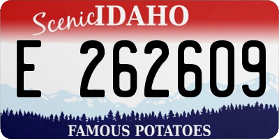 ID license plate E262609