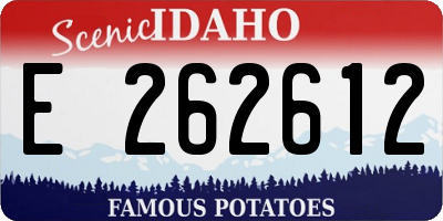 ID license plate E262612