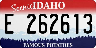 ID license plate E262613