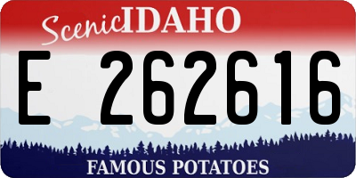 ID license plate E262616