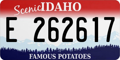 ID license plate E262617