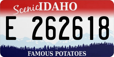 ID license plate E262618