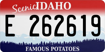 ID license plate E262619